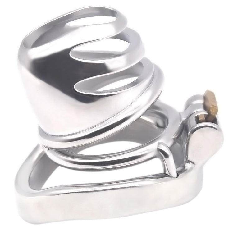 Male Chastity Cage, F3013