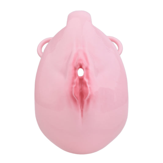 Pussy Cock Cage With Wearable Butt Plug | F3202