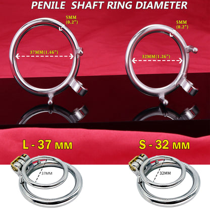 Dual Cock Ring Chastity Cage, F3121