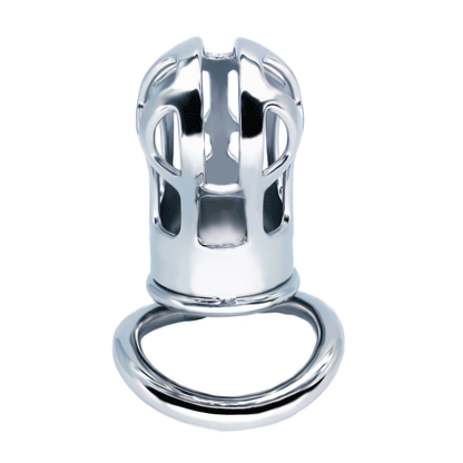 Maxi Cobra Chastity Cage Allen Wrench Lock, F3093