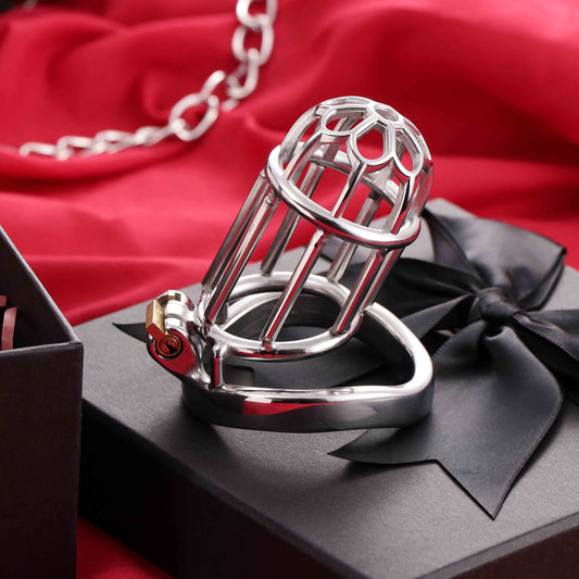 Male Chastity Full Steel Lock-Cock Penis Cage, F3010