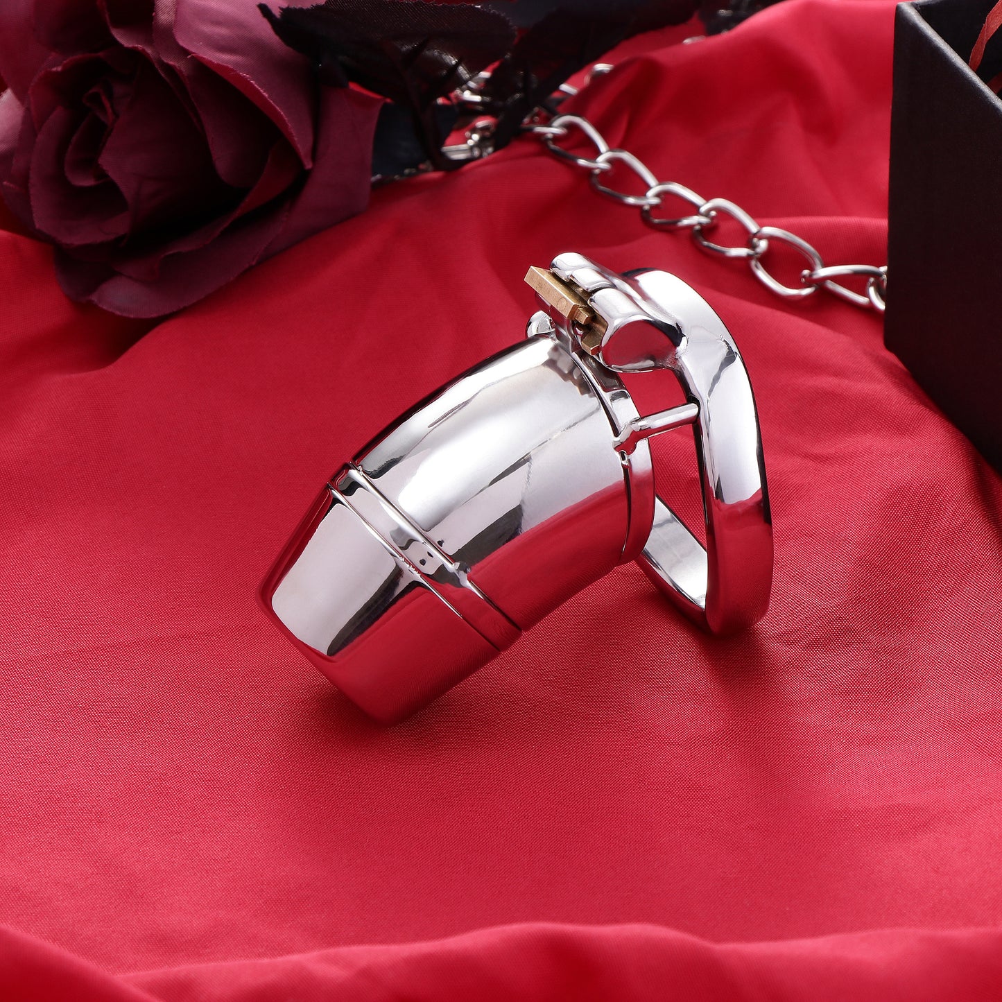 Full Closed Steel Chastity Cage, F3101