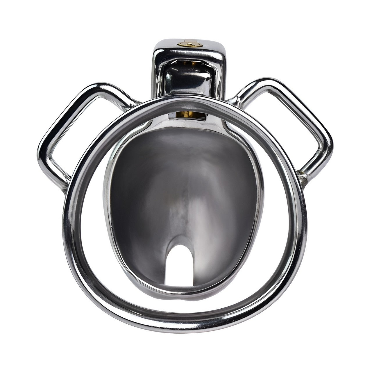 Metal Penis Shaped Chastity Cage | F3210 - FRRK